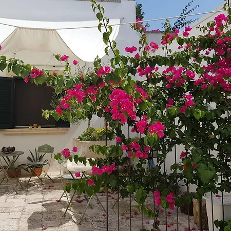 Nel Cuore Del Salento Dimora Tipica